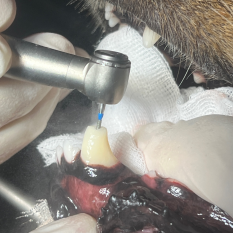 cc2c577b289ca360bdebd34f76f77b7f_1758526463_0466.png cc2c577b289ca360bdebd34f76f77b7f_1758526463_0466.png